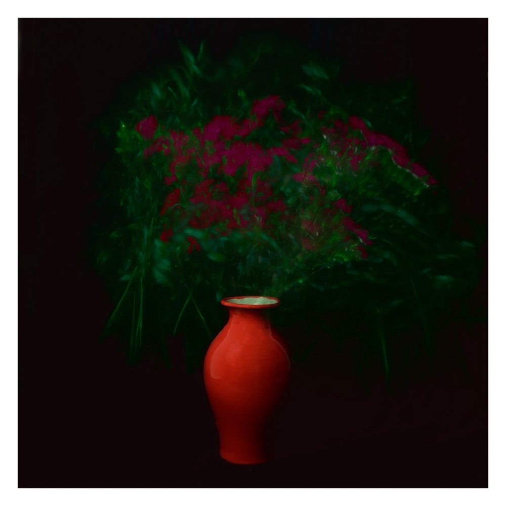 Rounded Image